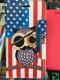 USA Flag IPhone 6 Plus Cover & Protector